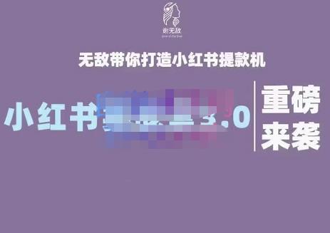 谢无敌·小红书实战营3.0，无敌带你打造小红书提款机 价值7999元-学知网
