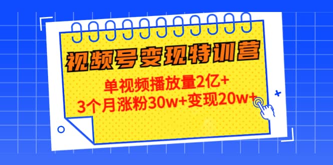 20天视频号变现特训营：单视频播放量2亿+-学知网