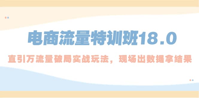 电商流量特训班18.0，直引万流量破局实操玩法，现场出数据拿结果-学知网