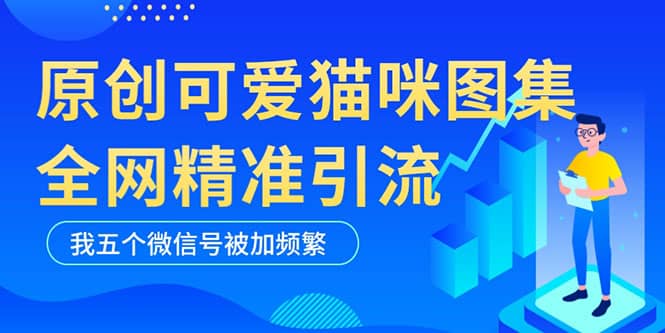 黑科技纯原创可爱猫咪图片，全网精准引流，实操5个VX号被加频繁-学知网