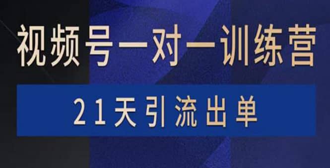 视频号训练营：带货，涨粉，直播，游戏，四大变现新方向，21天引流出单-学知网