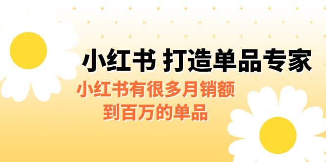 某公众号付费文章《小红书 打造单品专家》小红书有很多月销额到百万的单品-学知网