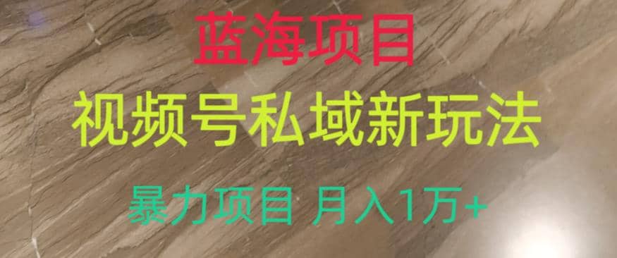 蓝海项目，视频号私域新玩法，暴力项目月入1万+【揭秘】-学知网