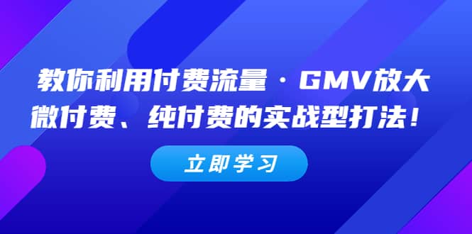 教你利用付费流量·GMV放大，微付费、纯付费的实战型打法-学知网