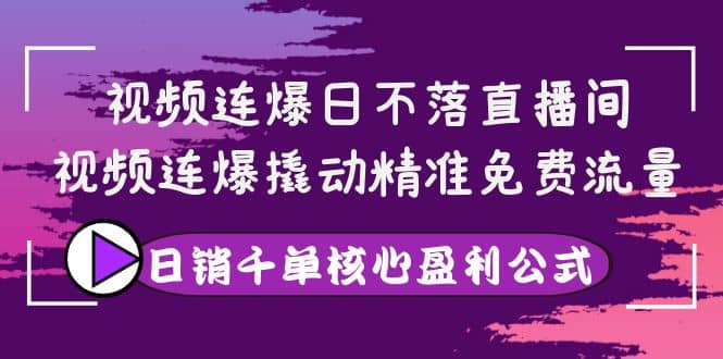 视频连爆日不落直播间，视频连爆撬动精准免费流量，日销千单核心盈利公式-学知网