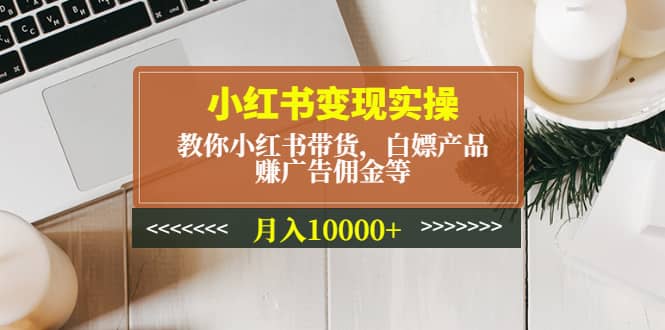 小红书变现实操：教你小红书带货，白嫖产品，赚广告佣金等-学知网