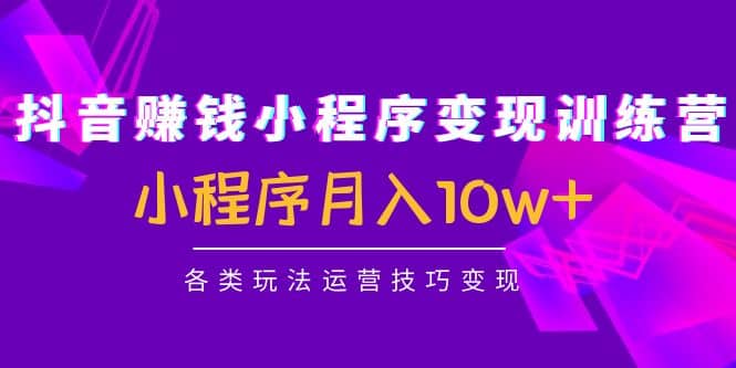 抖音小程序变现训练营：小程序各类玩法运营技巧变现-学知网