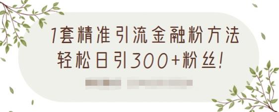 1套精准引流金融粉方法，轻松日引300+粉丝【视频课程】-学知网