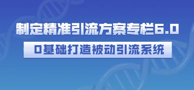 制定精准引流方案专栏6.0，0基础打造被动引流系统-学知网