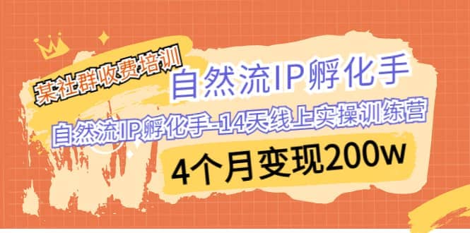某社群收费培训：自然流IP 孵化手-14天线上实操训练营 4个月变现200w-学知网