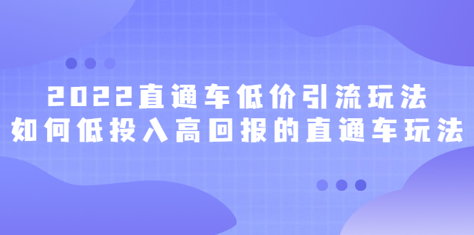 2022直通车低价引流玩法，教大家如何低投入高回报的直通车玩法-学知网