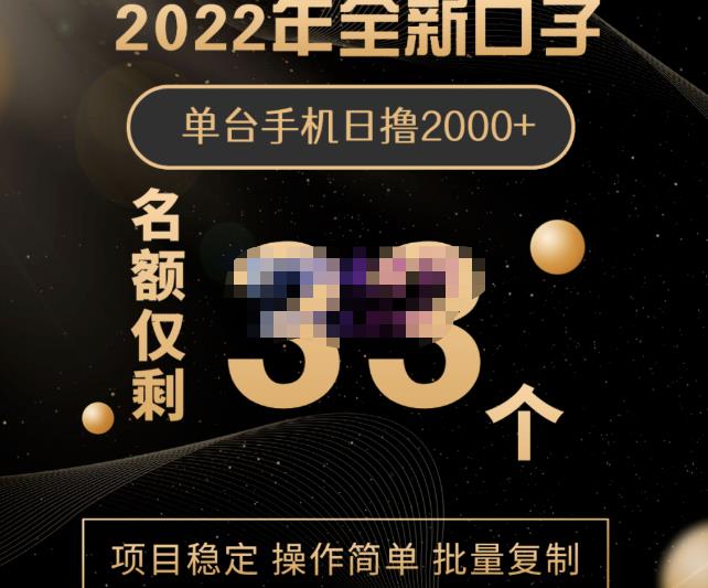 2022年全新口子，手机批量搬砖玩法，一部手机日撸2000+-学知网