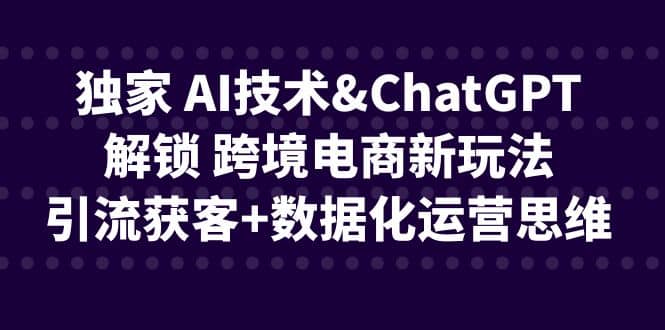 独家 AI技术ChatGPT解锁 跨境电商新玩法，引流获客+数据化运营思维-学知网