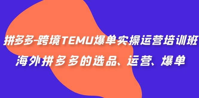 拼多多-跨境TEMU爆单实操运营培训班，海外拼多多的选品、运营、爆单-学知网