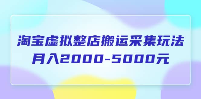 淘宝虚拟整店搬运采集玩法分享课：月入2000-5000元（5节课）-学知网