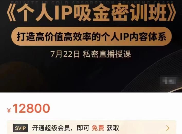 个人IP吸金密训班，打造高价值高效率的个人IP内容体系（价值12800元）-学知网