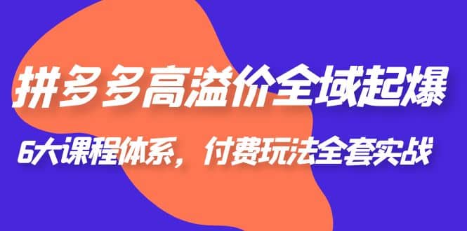 拼多多-高溢价 全域 起爆，6大课程体系，付费玩法全套实战-学知网