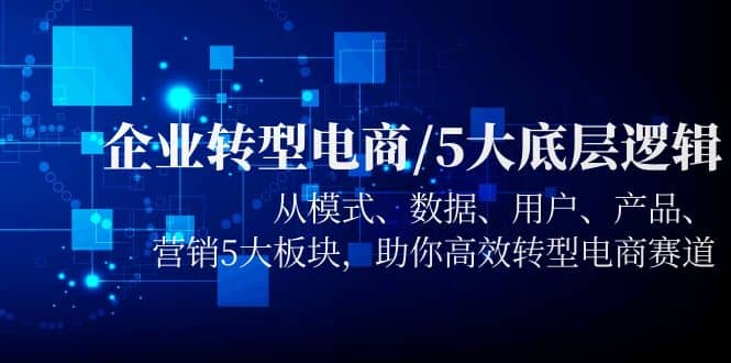 企业转型电商/5大底层逻辑，从模式 数据 用户 产品 营销5大板块，高效转型-学知网