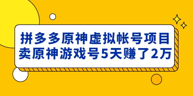 外面卖2980的拼多多原神虚拟帐号项目-学知网