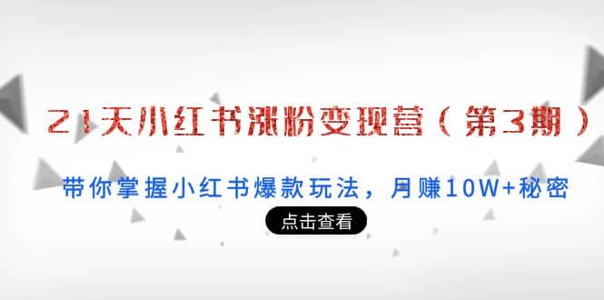 21天小红书涨粉变现营（第3期）：带你掌握小红书爆款玩法，月赚10W+秘密-学知网