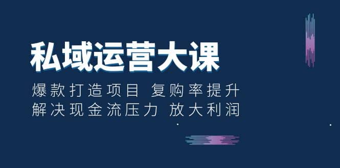 私域运营大课：爆款打造项目 复购率提升 解决现金流压力 放大利润-学知网