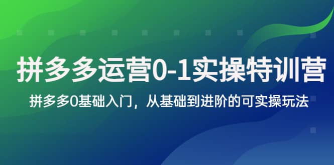 拼多多-运营0-1实操训练营，拼多多0基础入门，从基础到进阶的可实操玩法-学知网