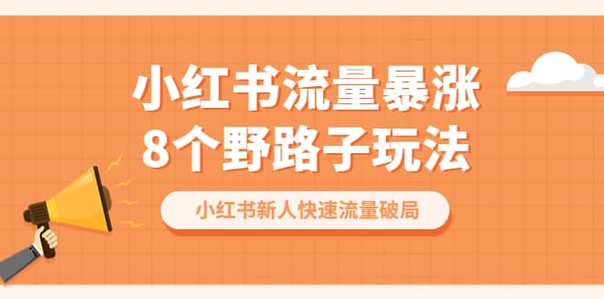 小红书流量-暴涨8个野路子玩法：小红书新人快速流量破局（8节课）-学知网