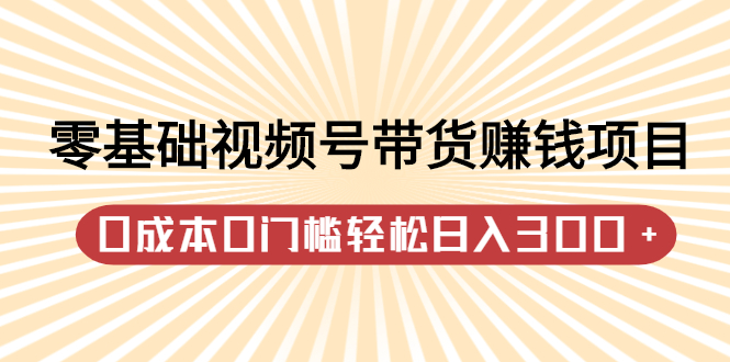 零基础视频号带货赚钱项目，0成本0门槛轻松日入300+【视频教程】-学知网