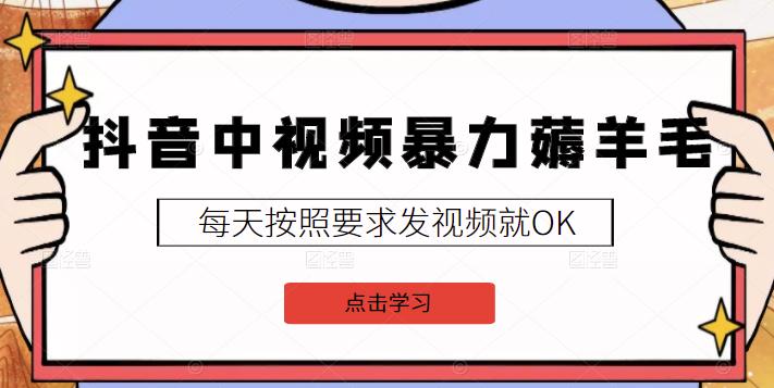 2022抖音中视频暴力薅羊毛白嫖项目：新号每天20块，老号几天几百块，可多号-学知网