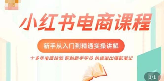 小红书电商新手入门到精通实操课，从入门到精通做爆款笔记，开店运营-学知网