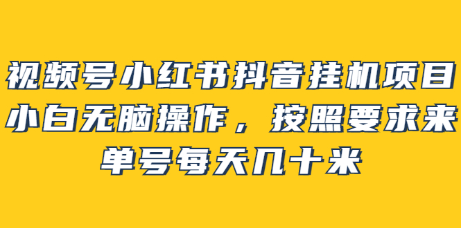 视频号小红书抖音挂机项目，小白无脑操作，按照要求来，单号每天几十米-学知网