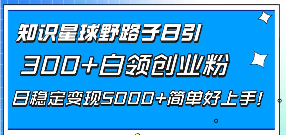 知识星球野路子日引300+白领创业粉，日稳定变现5000+简单好上手！-学知网