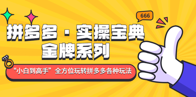 拼多多·实操宝典：金牌系列“小白到高手”带你全方位玩转拼多多各种玩法-学知网