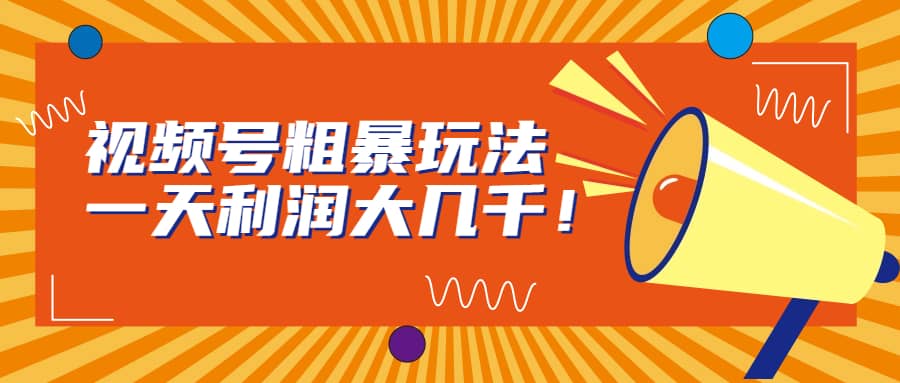 视频号粗暴玩法，一天利润大几千-学知网
