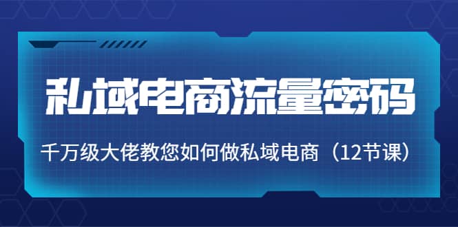 私域电商流量密码：千万级大佬教您如何做私域电商（12节课）-学知网