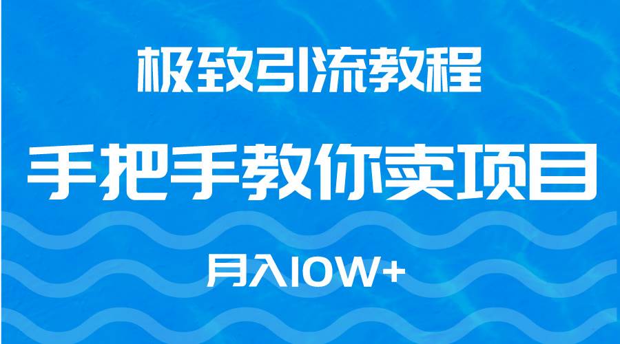 极致引流教程，手把手教你卖项目，月入10W+-学知网