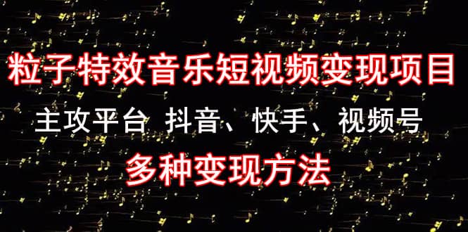 《粒子特效音乐短视频变现项目》主攻平台 抖音、快手、视频号 多种变现方法-学知网