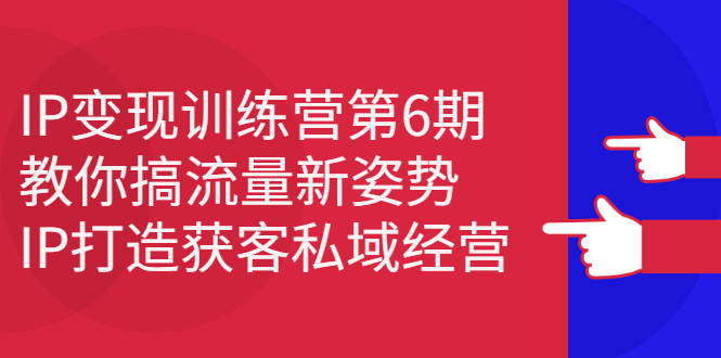 IP变现训练营第6期：教你搞流量新姿势，IP打造获客私域经营-学知网