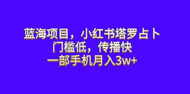 蓝海项目，小红书塔罗占卜，门槛低，传播快，一部手机月入3w+-学知网