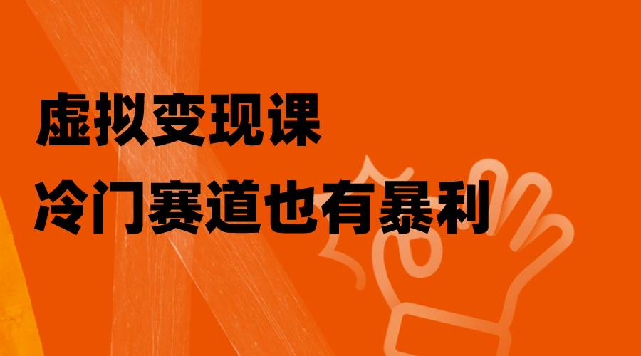 虚拟变现课，冷门赛道也有暴利，手把手教你玩转冷门私域-学知网