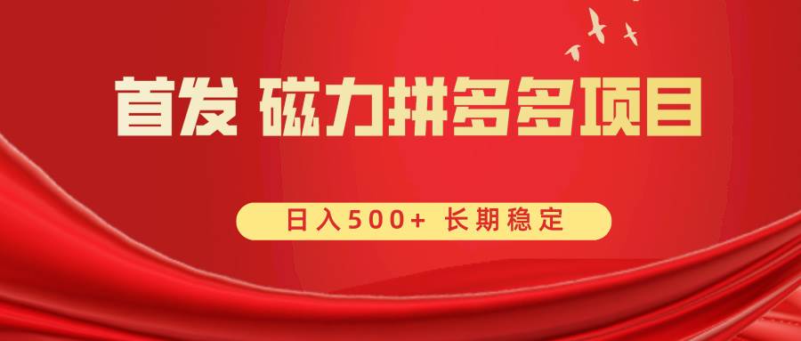 首发 磁力拼多多自撸  日入500+-学知网