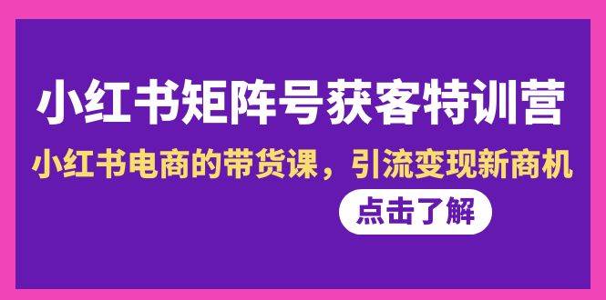 小红书-矩阵号获客特训营-第10期，小红书电商的带货课，引流变现新商机-学知网