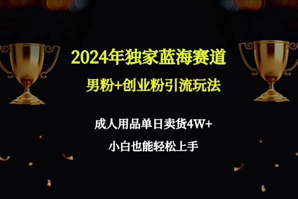 2024年独家蓝海赛道男粉+创业粉引流玩法，成人用品单日卖货4W+保姆教程-学知网