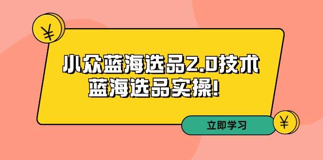 拼多多培训第33期：小众蓝海选品2.0技术-蓝海选品实操！-学知网