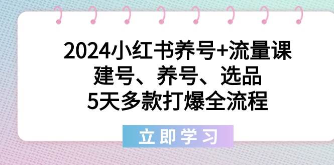 2024小红书养号+流量课：建号、养号、选品，5天多款打爆全流程-学知网