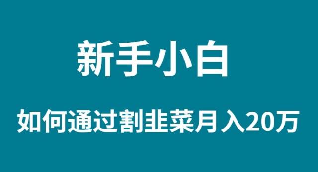 新手小白如何通过割韭菜月入 20W-学知网