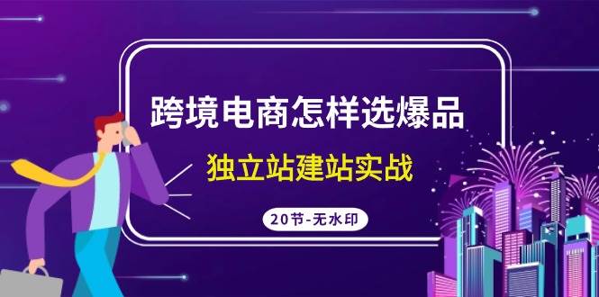 跨境电商怎样选爆品，独立站建站实战（20节高清无水印课）-学知网