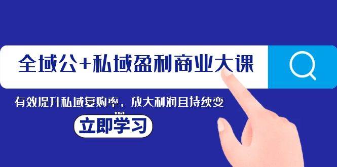 全域公+私域盈利商业大课，有效提升私域复购率，放大利润且持续变现-学知网