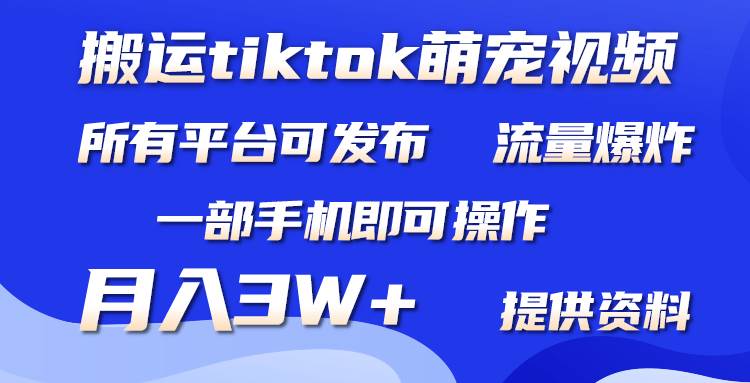 搬运Tiktok萌宠类视频，一部手机即可。所有短视频平台均可操作，月入3W+-学知网