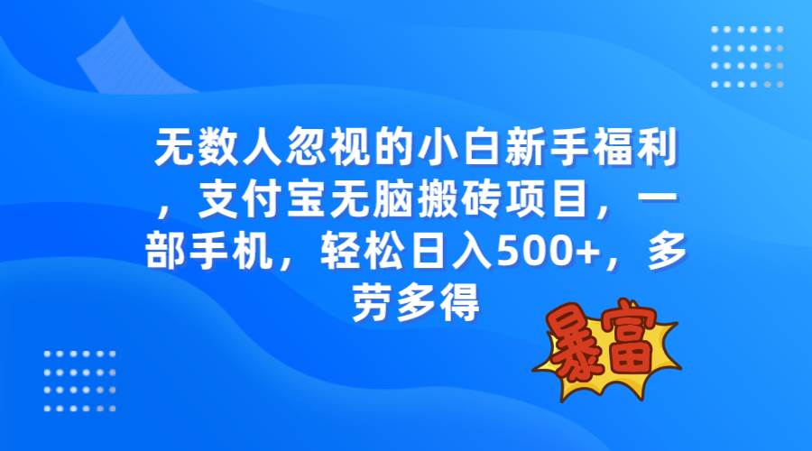 无数人忽视的项目，支付宝无脑搬砖项目，一部手机即可操作，轻松日入500+-学知网